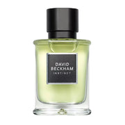 David Beckham Instinct Edt Spray